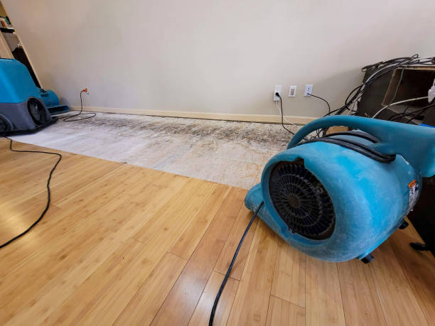 Professional Ceiling Water Damage Repair technician working in Virgin, UT